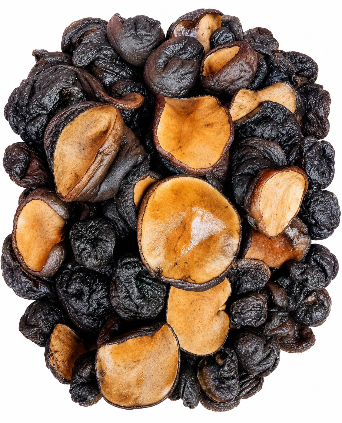 Gurutto Owl (Arganic Black Maashroom)